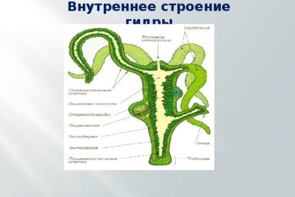 Кракен сайт как зайти