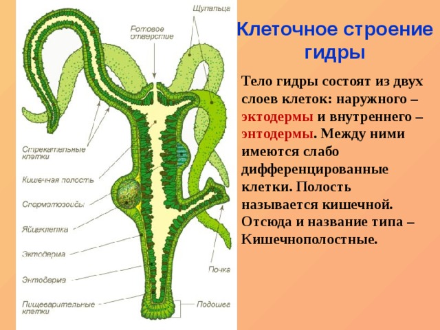 Кракен сайт официальный kraken014 com